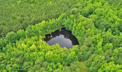 DJI_0497