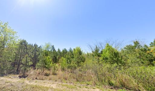 photo1