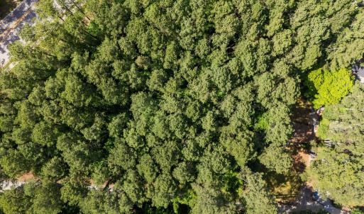 1-web-or-mls-DJI_20250523160616_0068_D