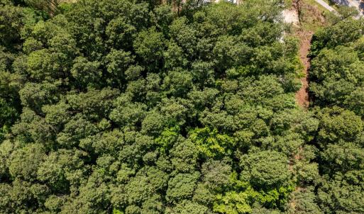 11-web-or-mls-DJI_20250523160147_0056_D