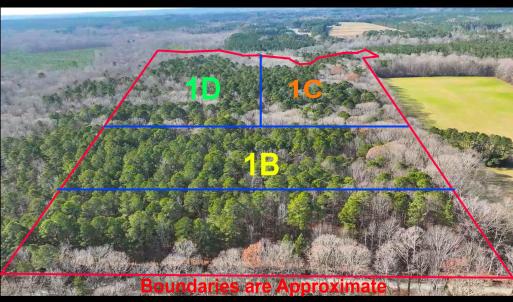 TurkeyBuzzardLn-Lots-1B-1C-1D