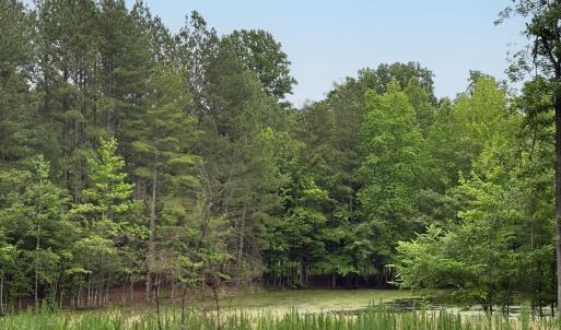 Millbrook Cir_4A_0479