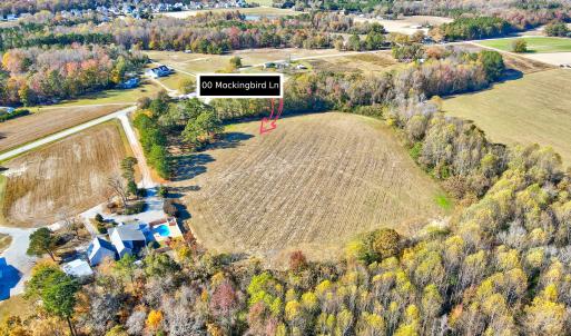 5-00 Mockingbird Ln-7