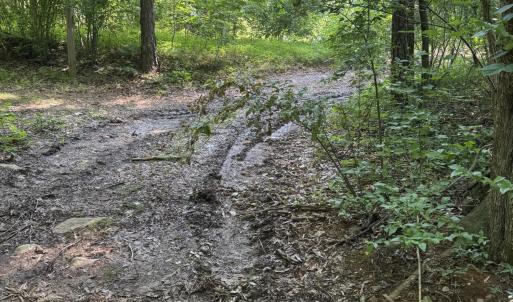 easement 6 facing east