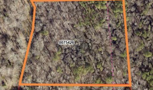 parcel 75426 Gis 2023 aerial