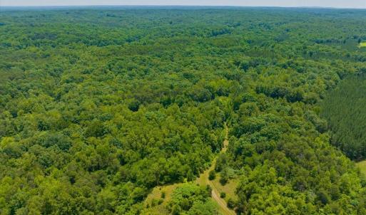 11-011-Lot45-LakePointe-20250606