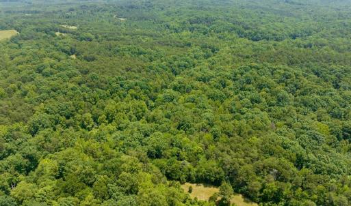 17-017-Lot45-LakePointe-20250606