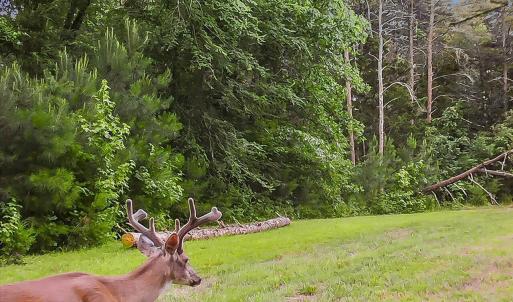 30-030-Lot45-LakePointe-20250609