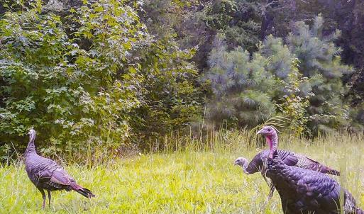 31-031-Lot45-LakePointe-20200831