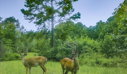 32-032-Lot45-LakePointe-20220821