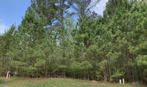 Screen Shot 2025-06-12 at 3.18.49 PM