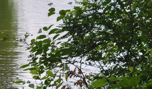 Lot 23 Waterview