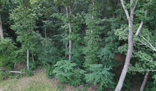 DJI_0347