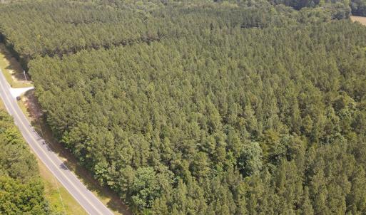 DJI_0494