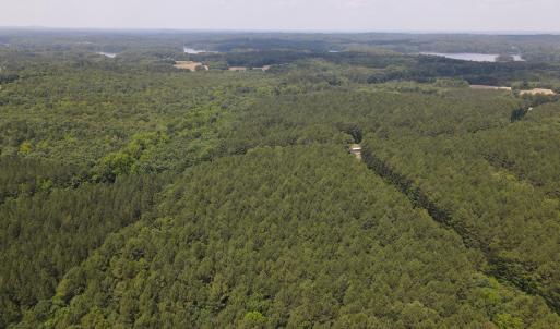 DJI_0497
