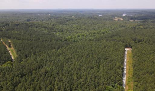 DJI_0498