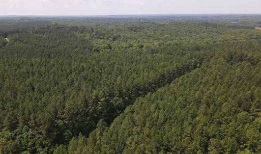 DJI_0499