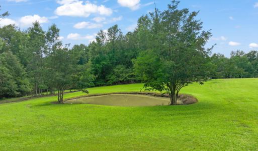 Small Pond