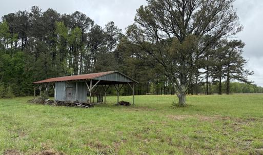 Copy of Copy of IMG_5652