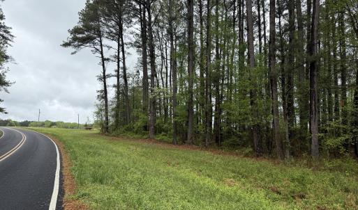 Copy of Copy of IMG_5658