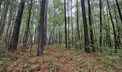 Copy of Copy of IMG_5659