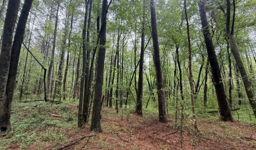 Copy of Copy of IMG_5660