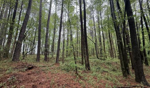 Copy of Copy of IMG_5661