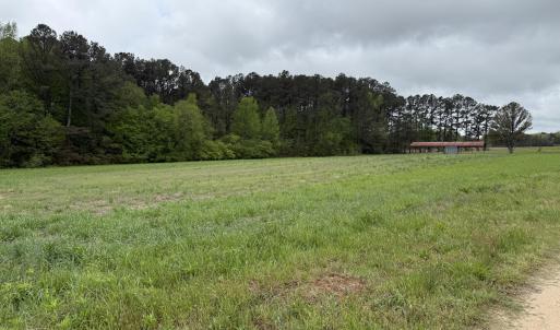 Copy of Copy of IMG_5649