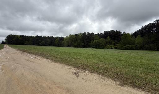 Copy of Copy of IMG_5650