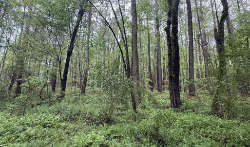 Copy of Copy of IMG_5669