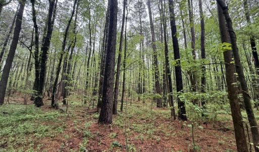 Copy of Copy of IMG_5671