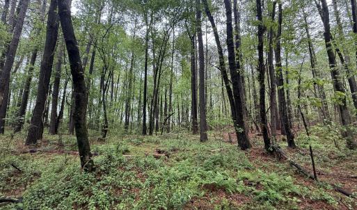 Copy of Copy of IMG_5672