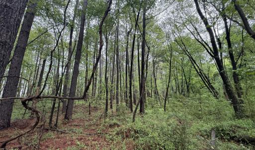 Copy of Copy of IMG_5662