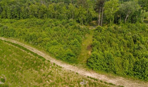 6-web-or-mls-1390-nick-coley-rd