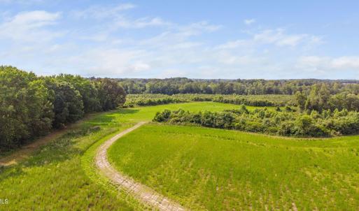 8-web-or-mls-1390-nick-coley-rd