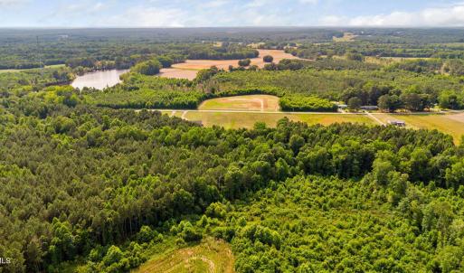 19-web-or-mls-1390-nick-coley-rd