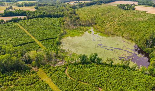 34-web-or-mls-1390-nick-coley-rd
