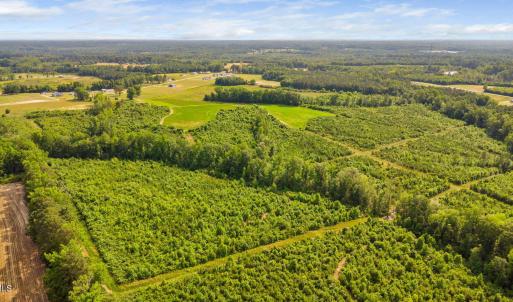 33-web-or-mls-1390-nick-coley-rd