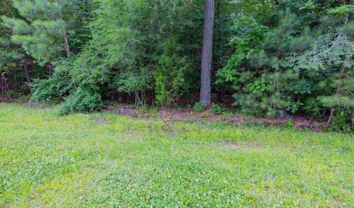 023-459WindfallCreekDr-Lot28-Windfall-20