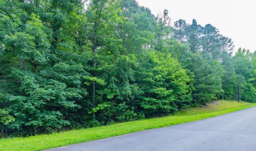 017-459WindfallCreekDr-Lot28-Windfall-20