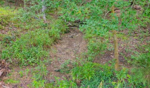 016-459WindfallCreekDr-Lot28-Windfall-20