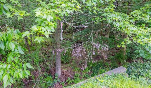 015-459WindfallCreekDr-Lot28-Windfall-20
