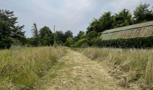 Path
