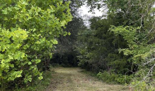 Path