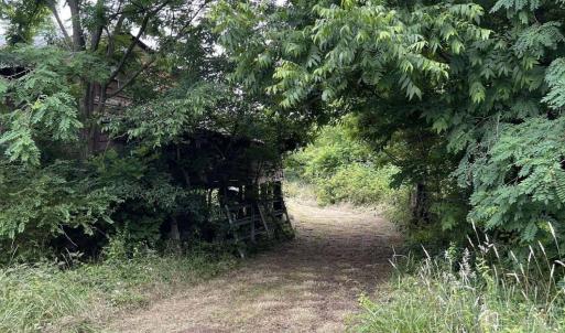 Path