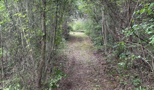 Path