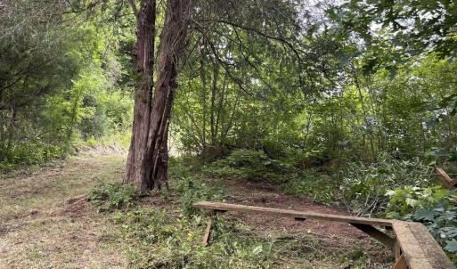 Path