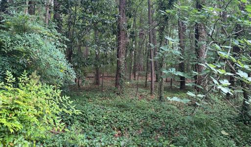 Interior of land
