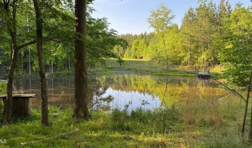 GoochsMillLot2pond