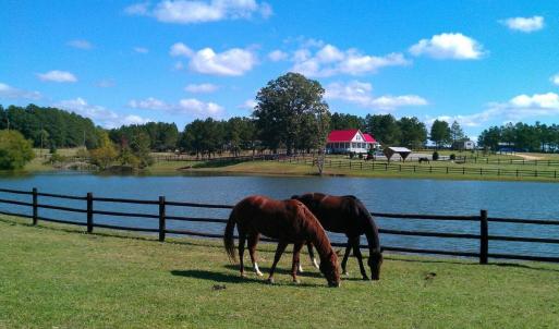 horse pond